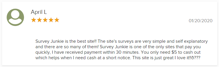 Survey Junkie 5 Star BBB Rating by April L